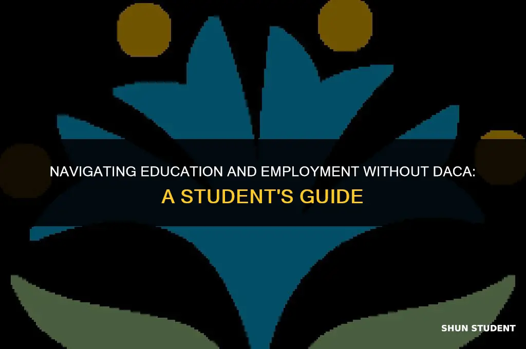 how to work undocumented without daca student