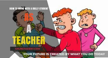 Strategies for Teachers: Managing and Supporting Bully Students Effectively