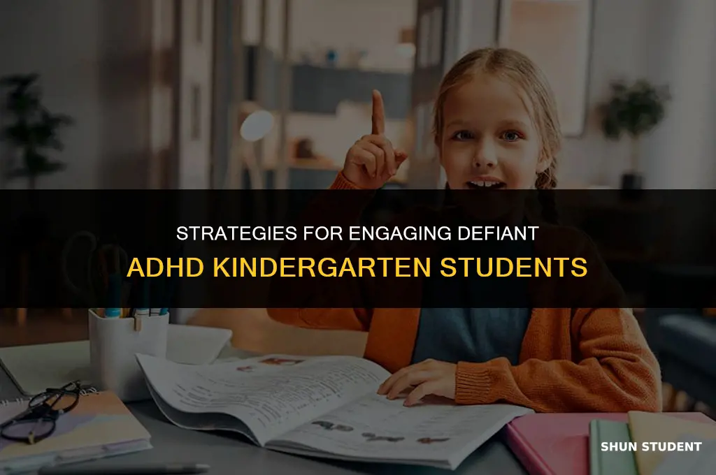 how to work with a defiant adhd kindergarten student