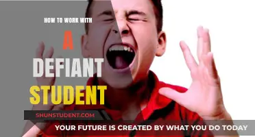 Strategies for Engaging Defiant Students in the Classroom