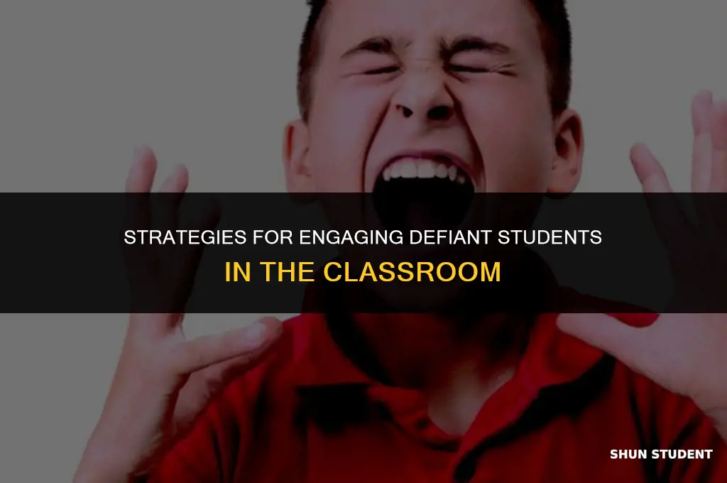 how to work with a defiant student