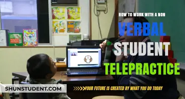 Empowering Non-Verbal Students Through Telepractice: A Guide for Educators