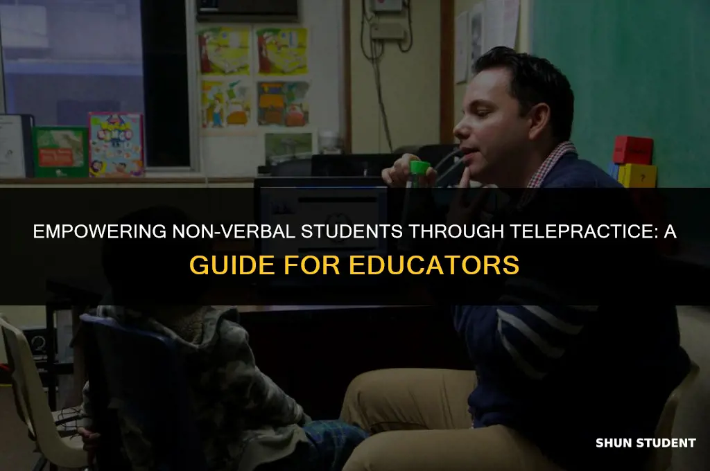 how to work with a non verbal student telepractice