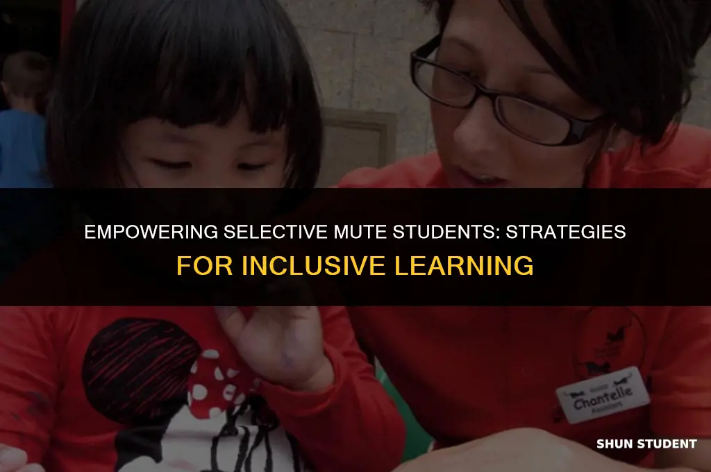 how to work with a selective mute student