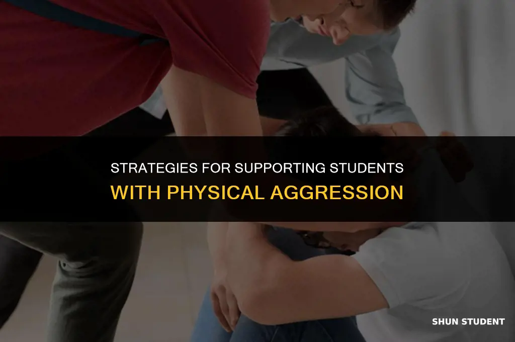 how to work with a student who constantly hits