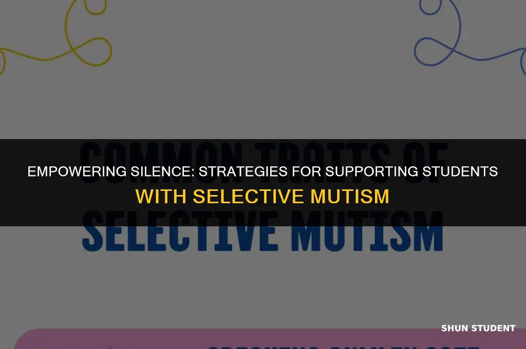how to work with a student with slective mutism