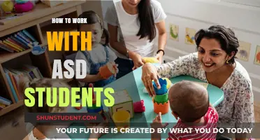 Empowering ASD Students: A Guide for Inclusive Education