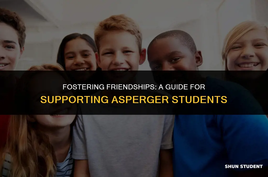 how to work with asperger students friendship