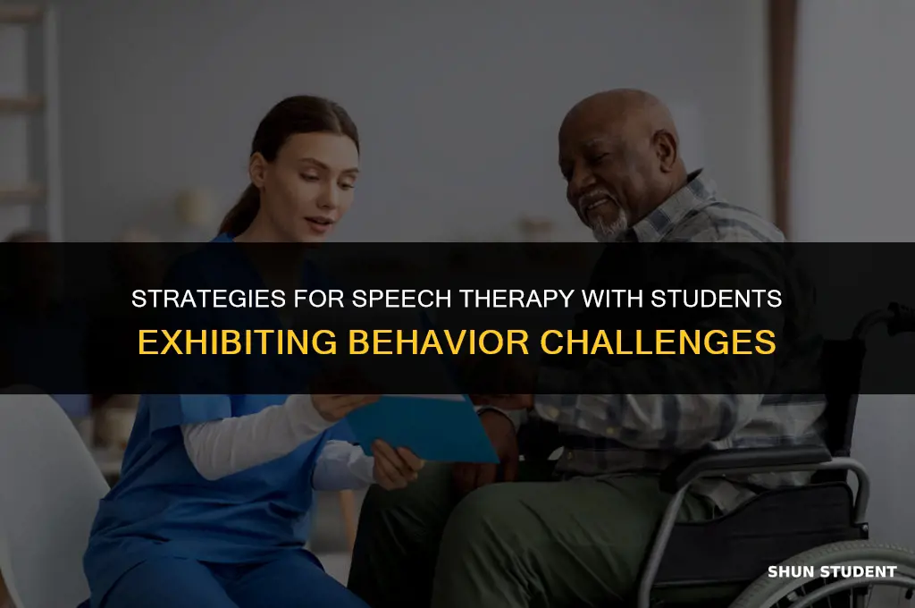 how to work with behavior problem students speech therapy