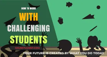 Strategies for Engaging and Supporting Challenging Students in the Classroom
