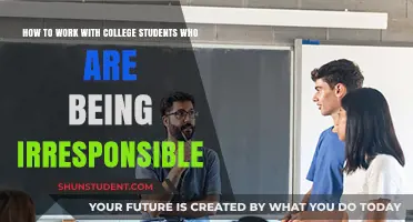 Guiding Irresponsible College Students: Strategies for Effective Mentorship