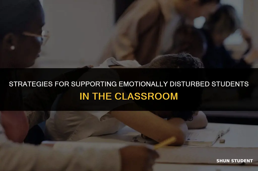 how to work with emotionally disturbed students