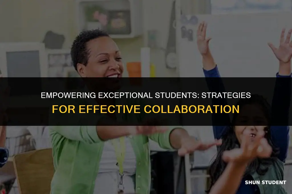 how to work with exceptional students