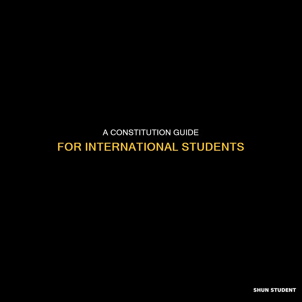 how to write a constitution for international student