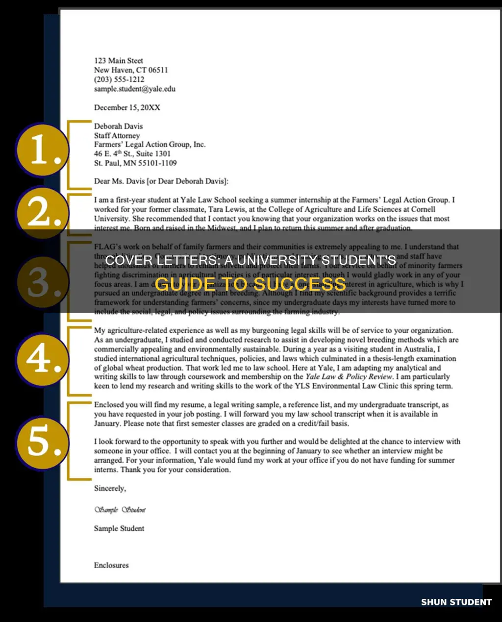 how to write a cover letter for a university student
