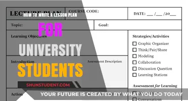 Crafting University Lesson Plans: A Guide