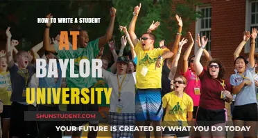 Baylor University Student Guide: How to Excel