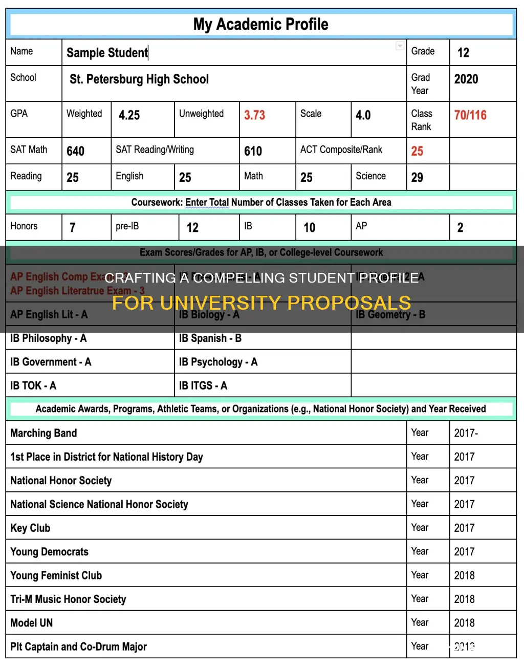how to write a student profile for a university proposal