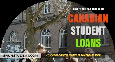 Smart Strategies to Repay Your Canadian Student Loans Effectively