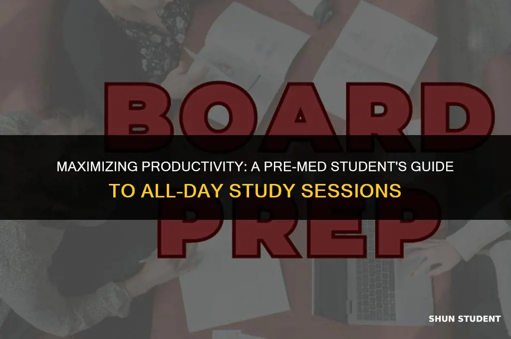 how to you study all day pre med student doctor