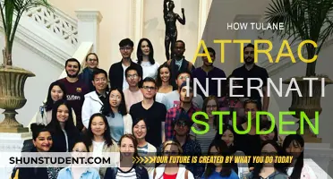 Tulane's Global Appeal: Why International Students Choose Tulane