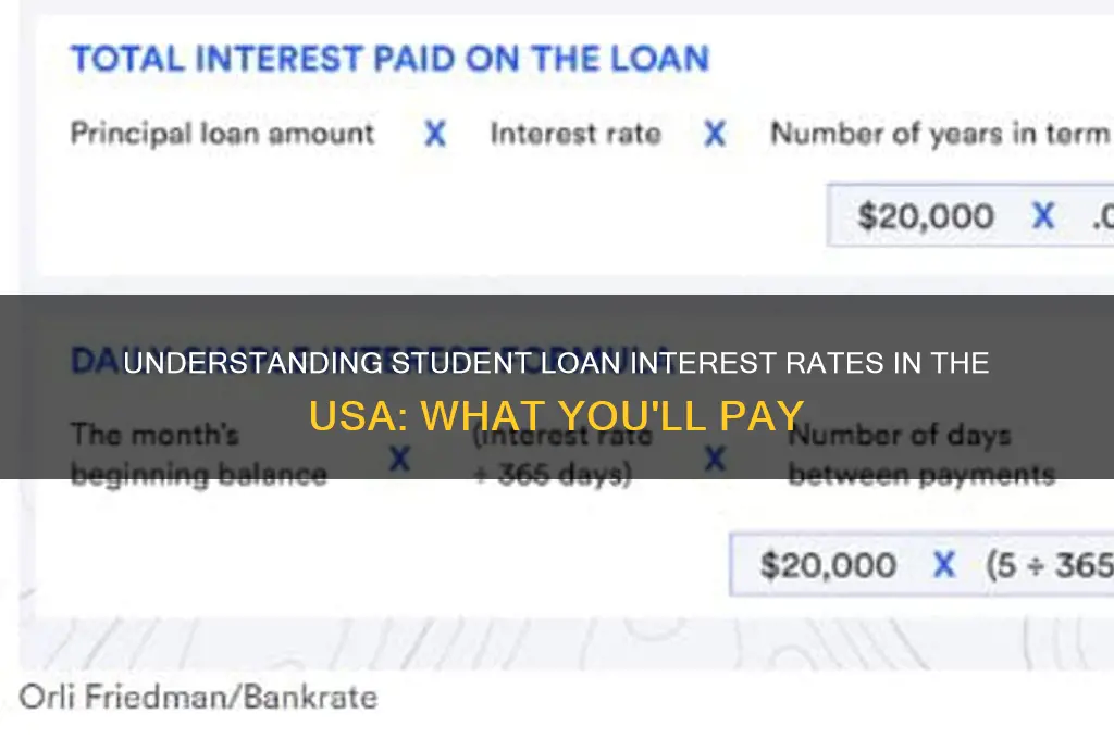 how uch interest do i pay on student loan usa