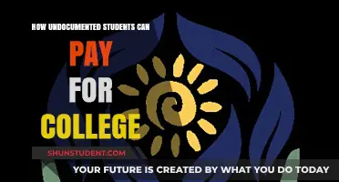 Navigating College Costs: Financial Strategies for Undocumented Students