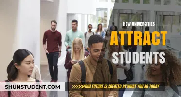 Attracting Students: Strategies Universities Employ