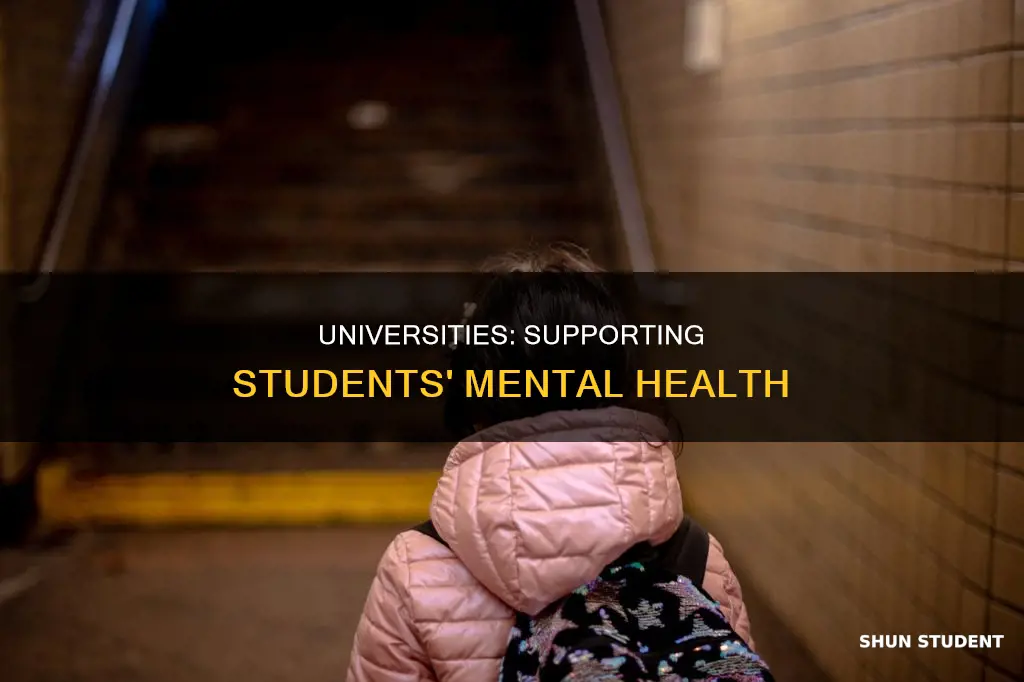 how universities can combat the student mental health crisis