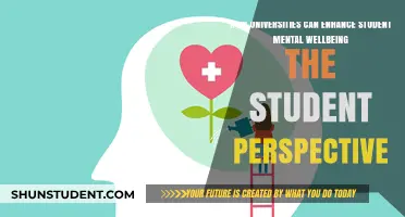 Universities: Supporting Student Mental Wellbeing