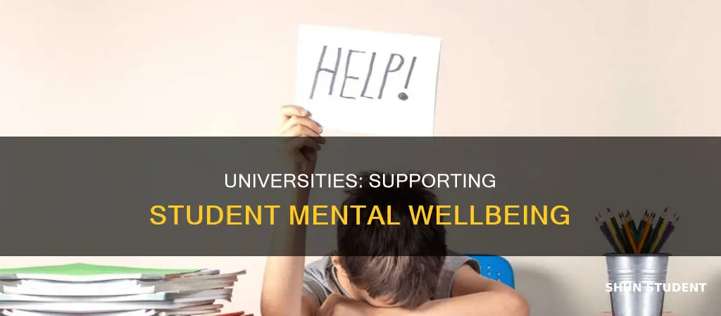 how universities can enhance student mental wellbeing the student perspective