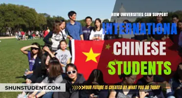Supporting Chinese Students: Strategies for Universities