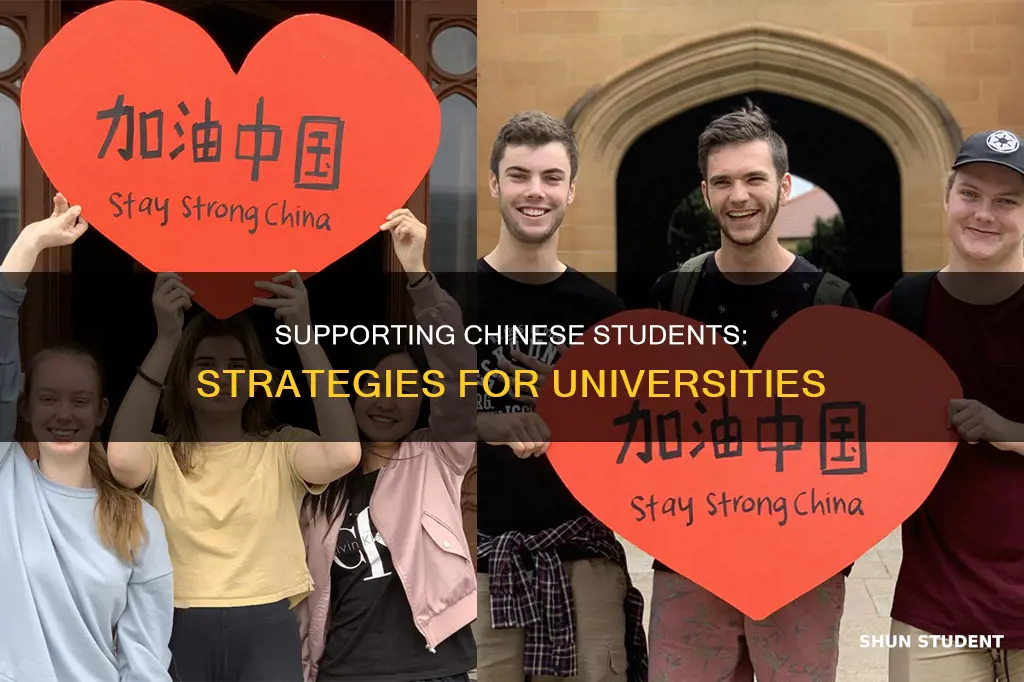 how universities can support international chinese students