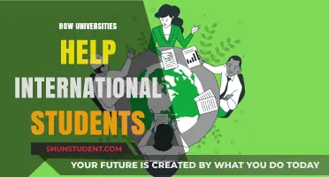 International Student Support: University Guidance