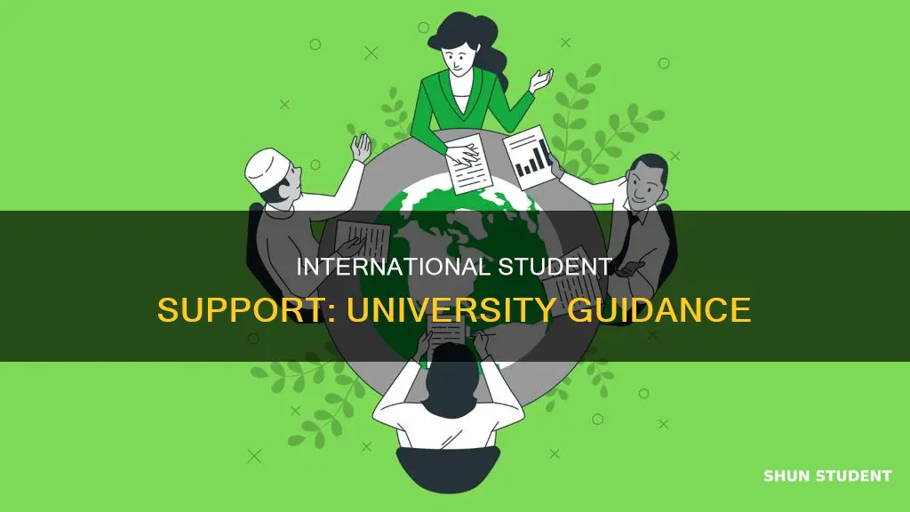 how universities help international students