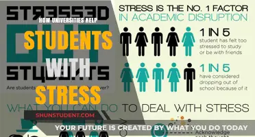 Universities' Support Strategies for Student Stress