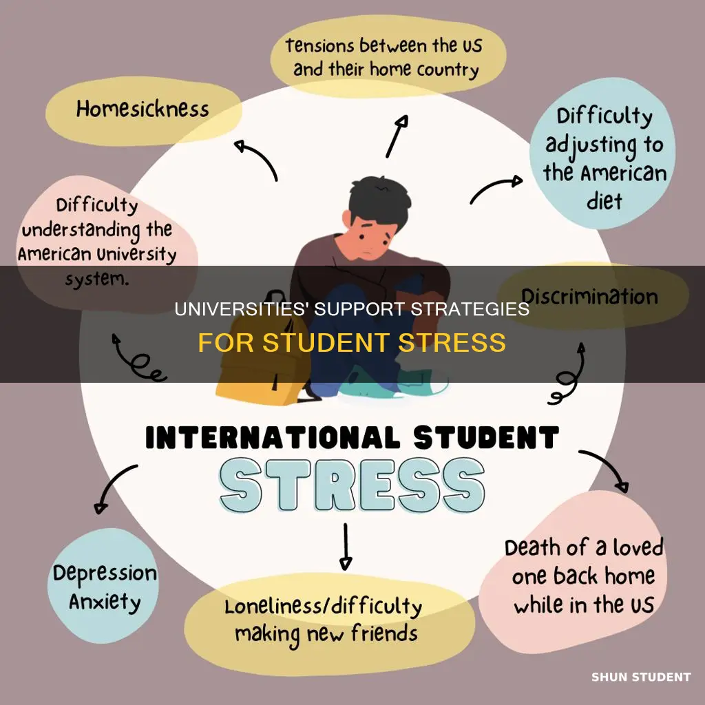 how universities help students with stress