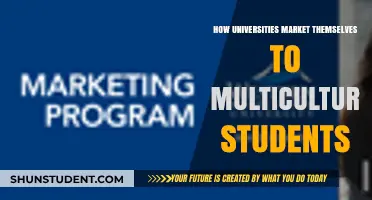 Marketing Strategies for Multicultural Students: University Edition
