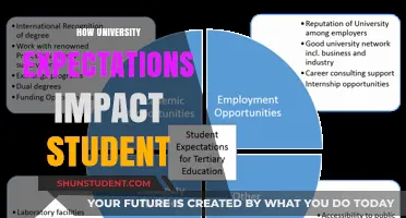 University Expectations: Shaping Student Mindsets and Experiences