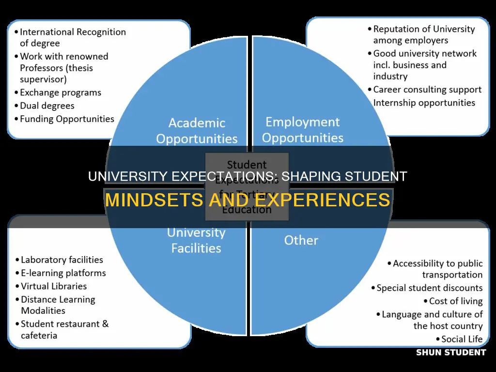 how university expectations impact student