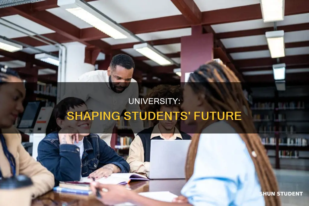 how university help students