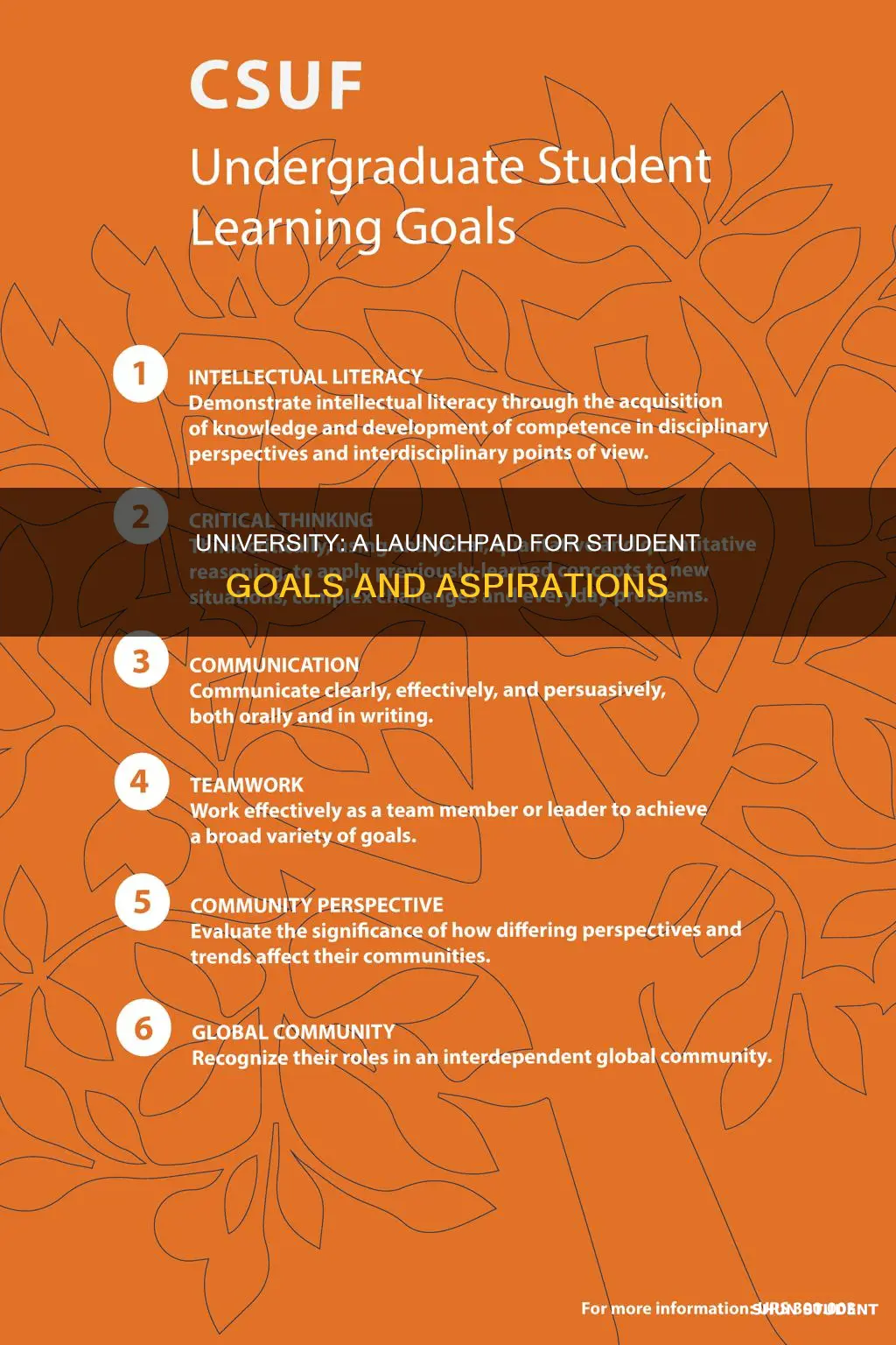 how university helps students i their goalds