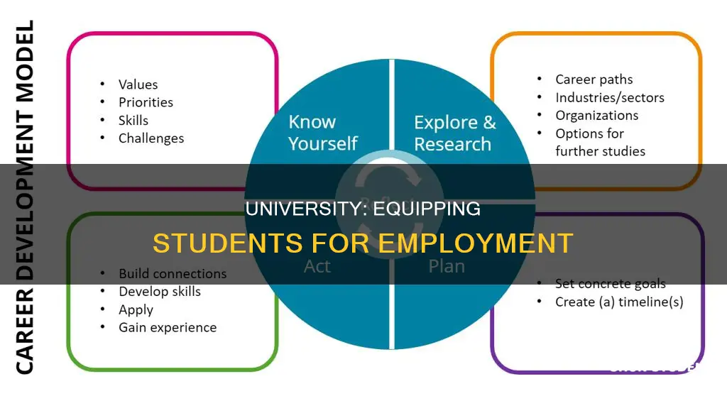 how university prepares students for employment