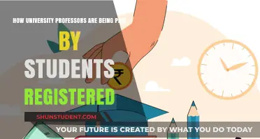 University Professors: Student-Funded Salaries Explained