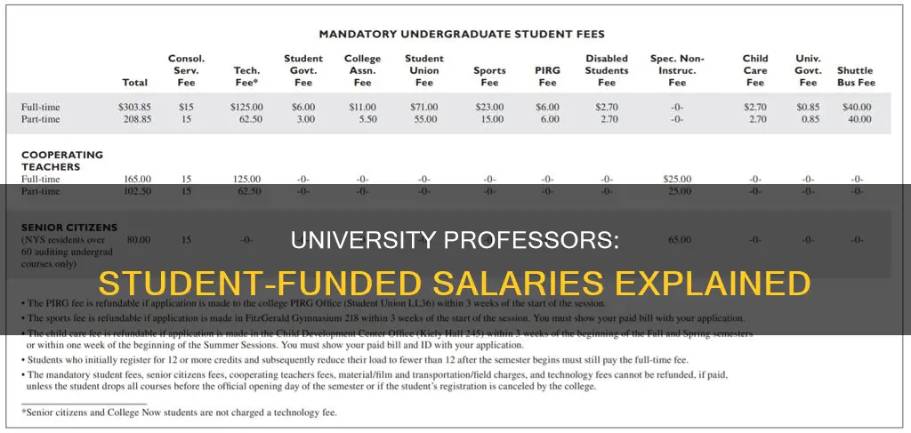 how university professors are being paid by students registered