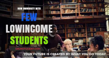 Understanding Inequality: Universities and Low-Income Students