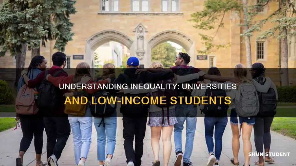 how university with few lowincome students