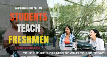 Empowering Freshmen: Upper-Level Students as Peer Mentors in College