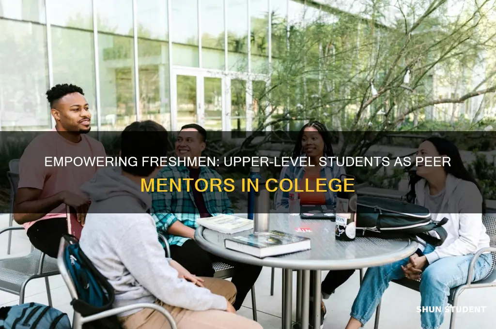 how upper level college students teach freshmen