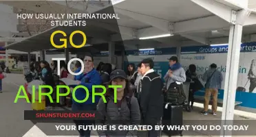 International Students' Airport Trips: Who, What, When, Where, Why
